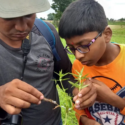 Children Outdoor Nature Education