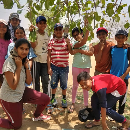 Children Nature Education
