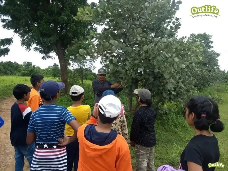 Nature Study for kids